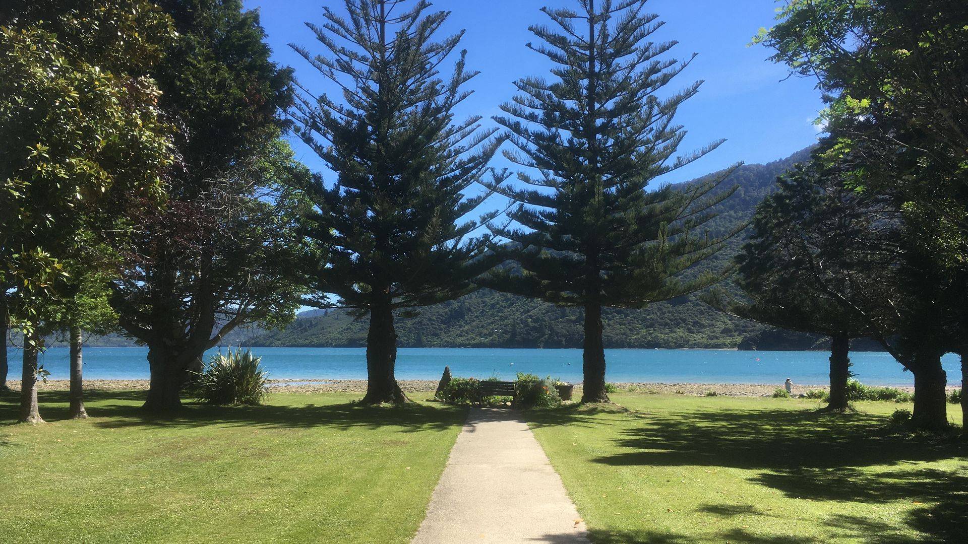 Queen Charlotte Track NZ | New Zealand Walks